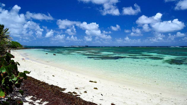 Anse Michel 