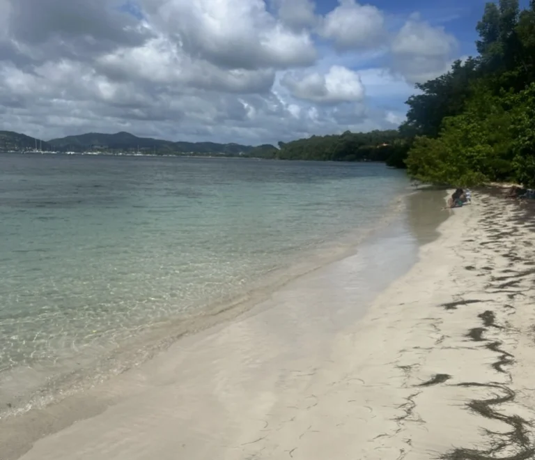 Sainte-Anne à travers les saisons : quelle est la meilleure période pour visiter.