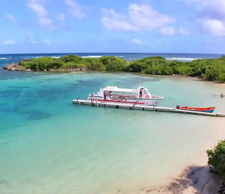 Explorer l’îlet Chevalier : un paradis caché au large de Sainte-Anne