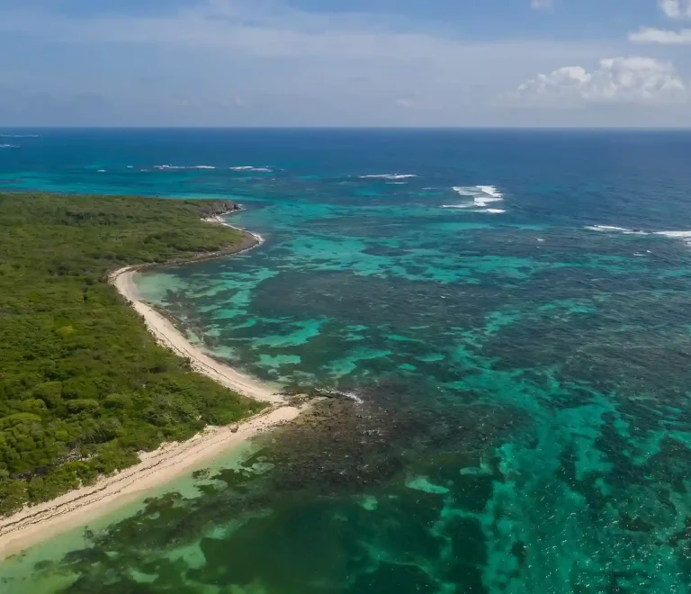 Les plages cachées de la Martinique : où trouver la tranquillité loin des foules